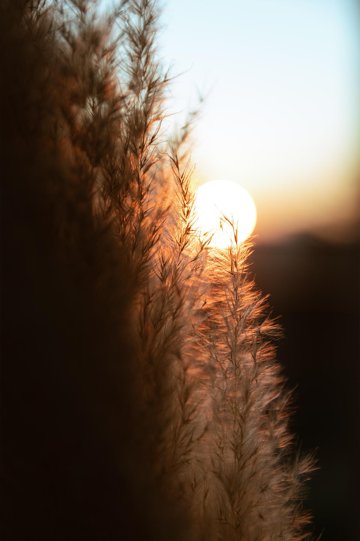 Sunset photo by Ryan Klaus