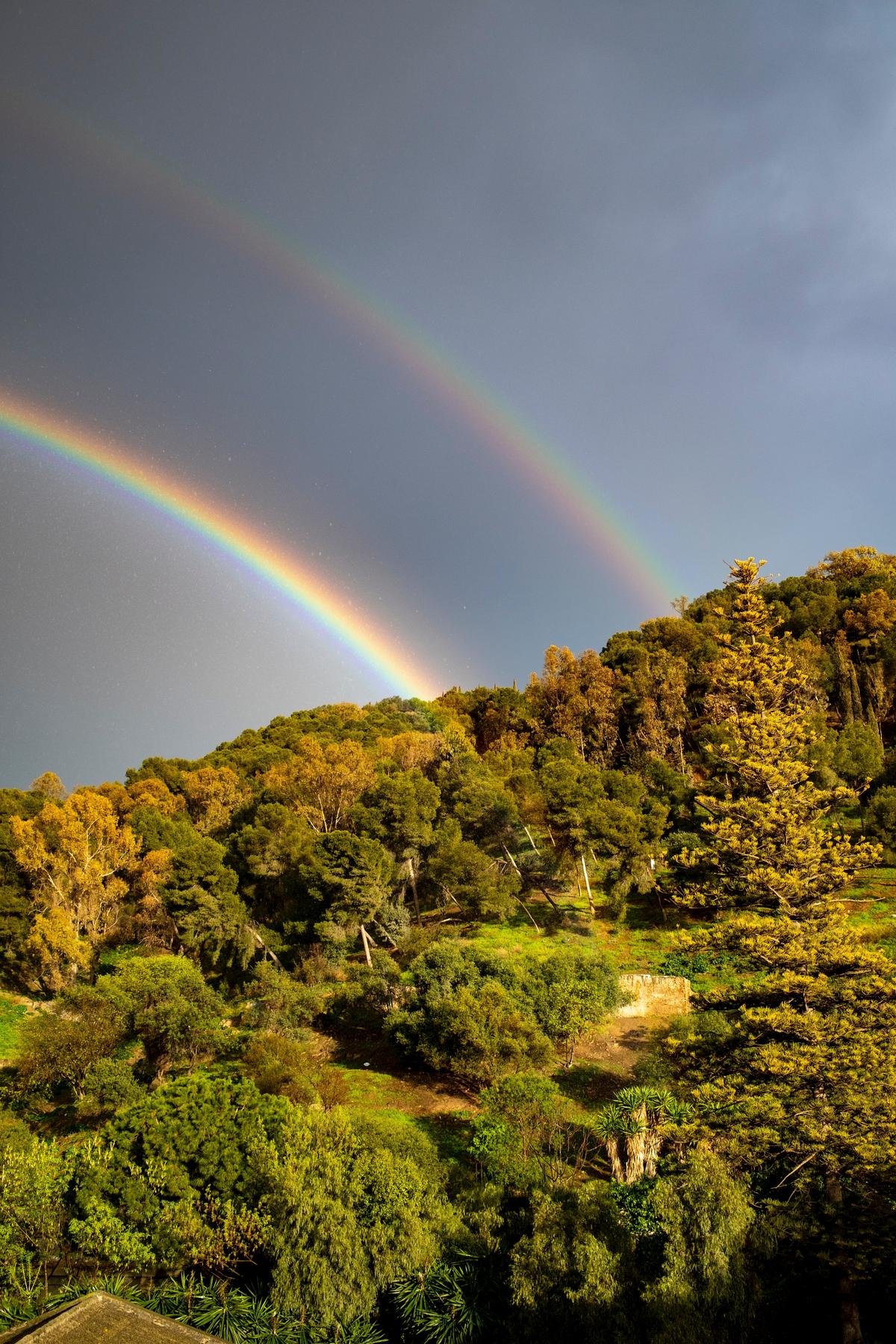 Double rainbow appearing over a forest with green and yellow leaves