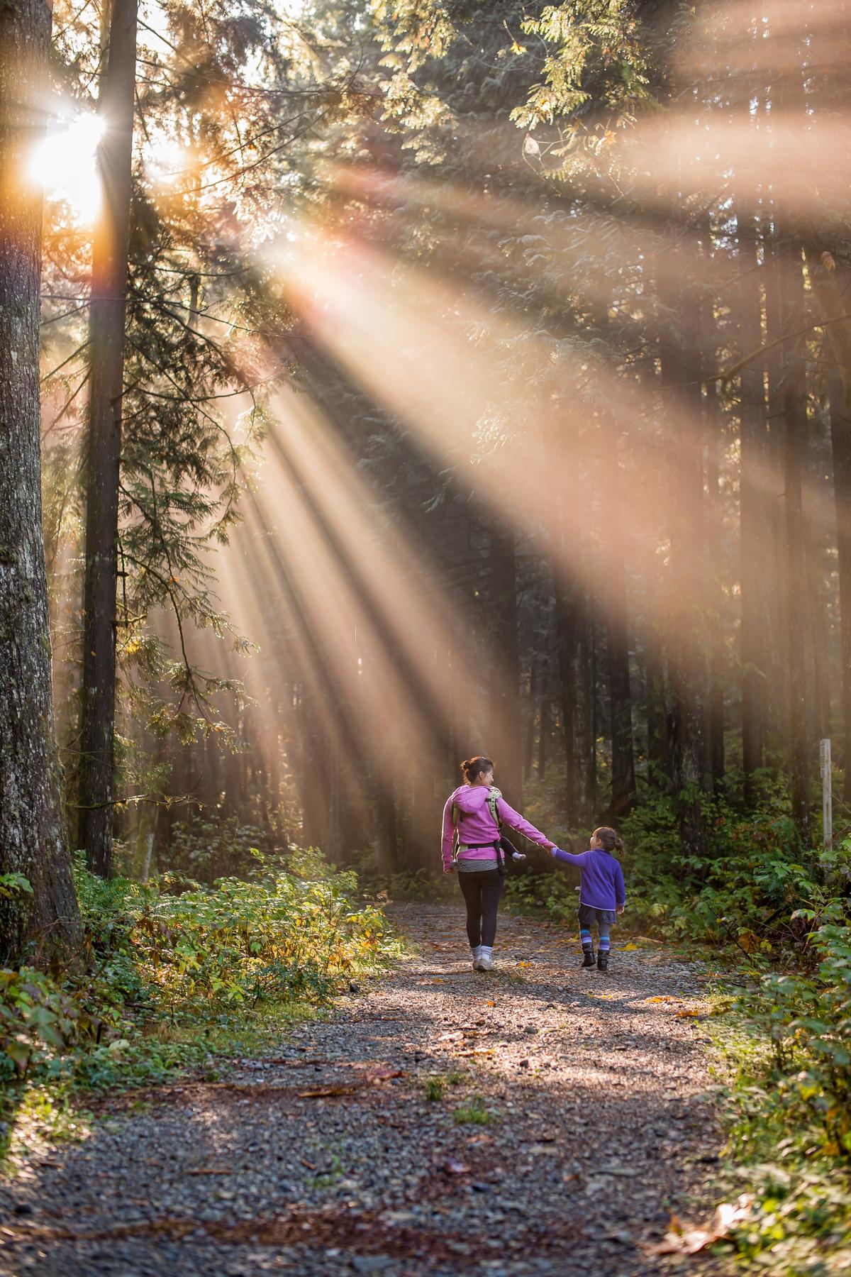 Parent and child walking on a forest path with sun shining through the trees