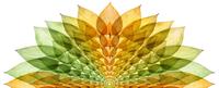 A halved flower graphic with intricate yellow and green petals.