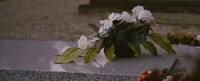 Associated Press Image of white flowers laid on the ground.