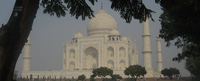 A photo of the Taj Mahal behind a tree line