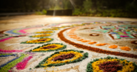 A mandala made of colorful flowers
