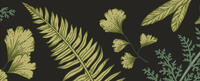 Fern designs on black background