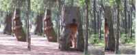 Forest art installation