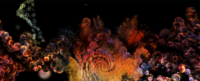Cosmic space, multicolour lights. Learn more about the Certificate in Psychedelic-Assisted Therapies and Research.