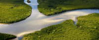 Image of a river basin flowing between plants