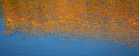 A photo of orange and blue ripples reflected on a water surface.