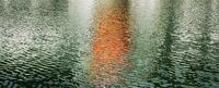 light on a river reflecting