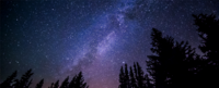 Starry night sky with trees