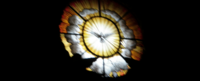 Image of a window decorated with a flying dove. Learn more about the Women's Spirituality online MA and PhD programs at California Institute of Integral Studies, CIIS. 