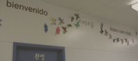 Photograph of Butterfly Exhibit