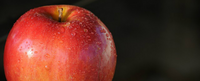 Image of a red apple. Health and wellness coaching leads to mindful eating.  Find out more about the Integrative Health online M.A. program at California Institute of Integral Studies (CIIS)