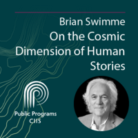 Brian Swimme: On the Cosmic Dimension of Human Stories