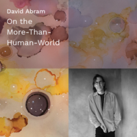 David Abram: On the More-Than-Human-World