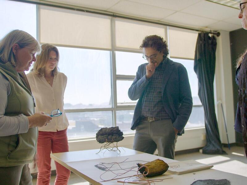 Photo of people looking at artifacts on a table