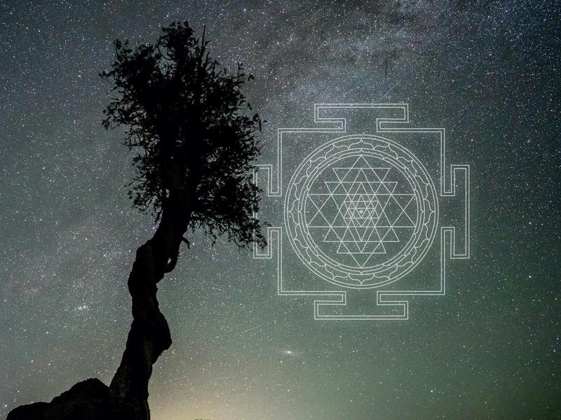 Starry-sky-with-Sri-Yantra-and-tree--Feature-Image