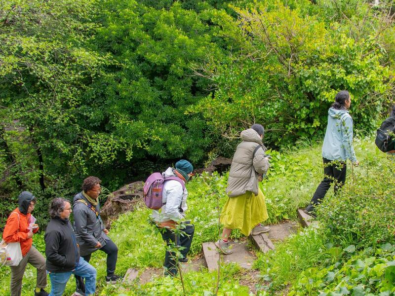 A Guided Walk With Black Forager 