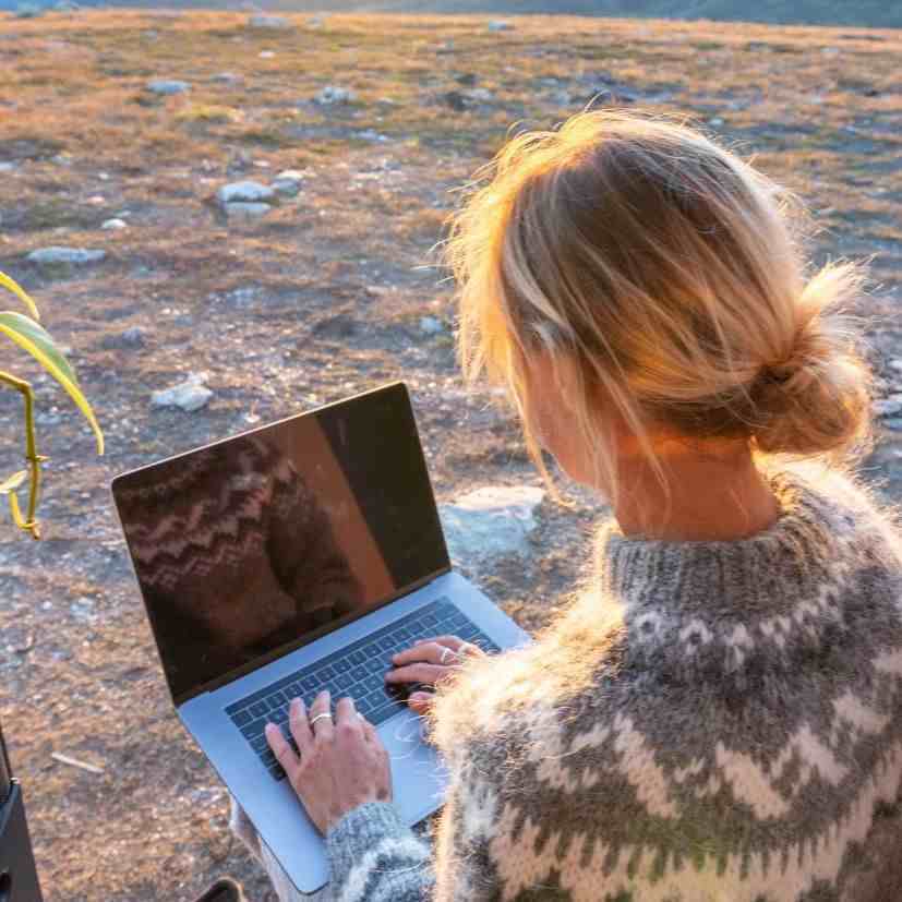 Online Learning